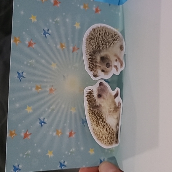 Papyrus x Chronicle Books Pop-up Love Card - Picture 4 of 6